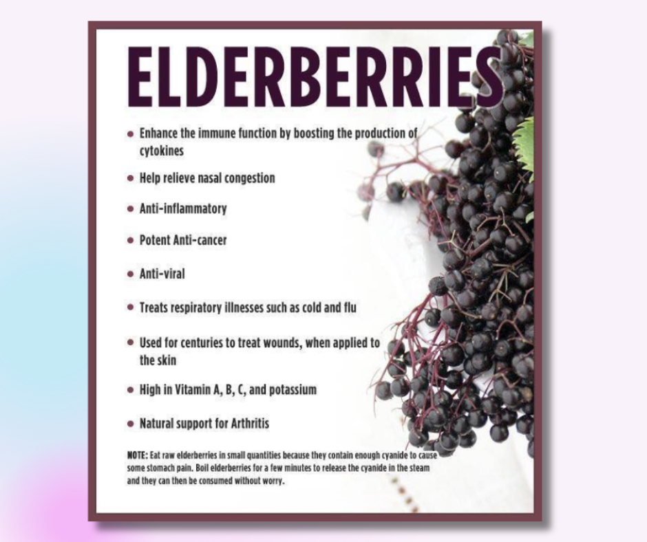 Two Bottle Bundle | 8oz Elderberry Syrup Tonic – Immune Support for the Whole Family (Copy)