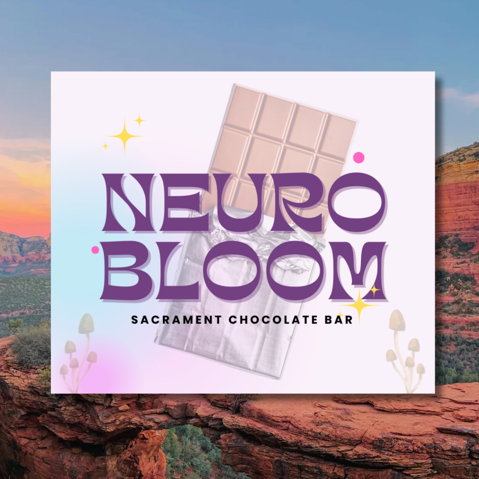 NeuroBloom Vegan Mushroom Microdosing Chocolate Bar Ritual  | Sacred Mushroom Microdosing For Healing