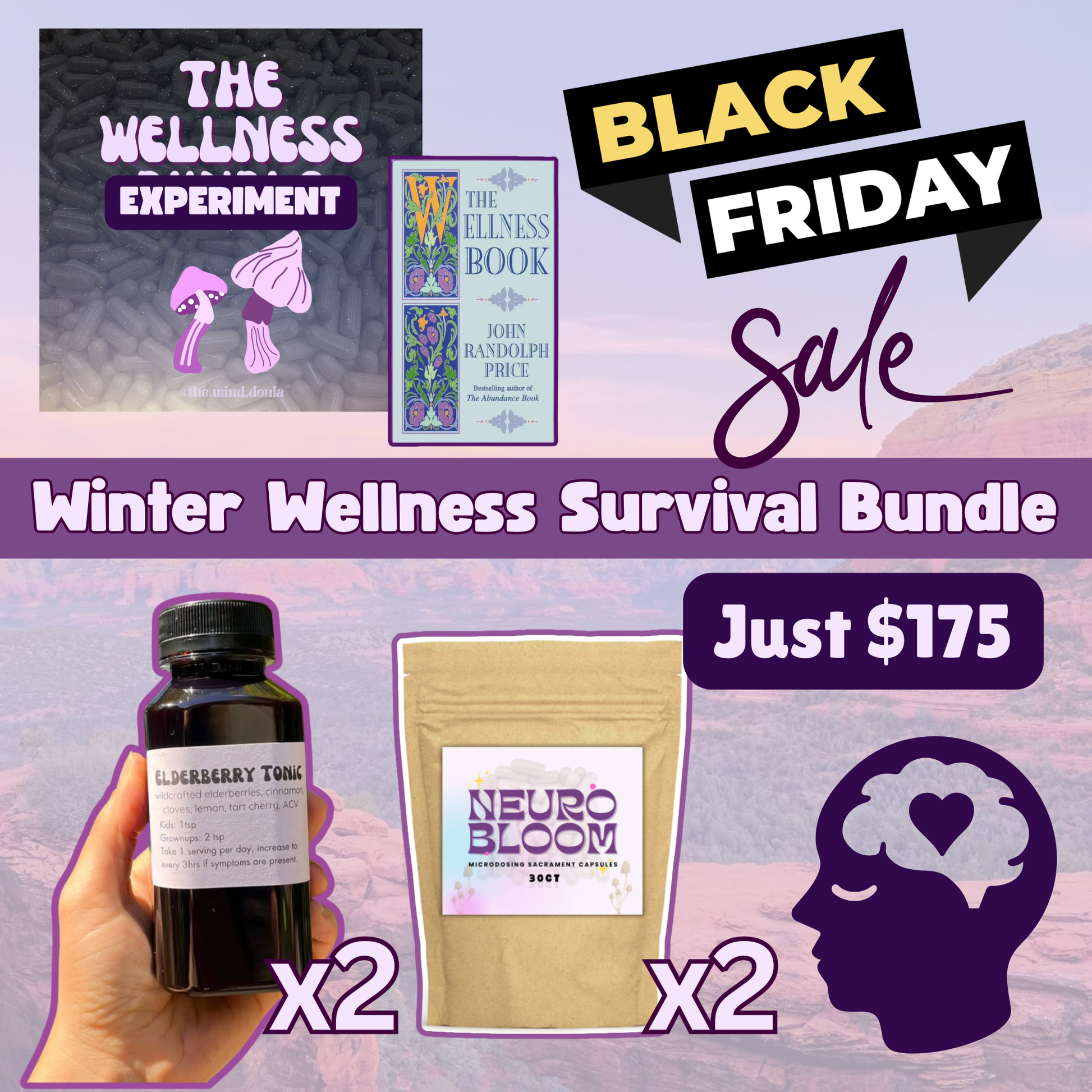 Winter Wellness Survival Kit — Limited Edition Seasonal Bundle